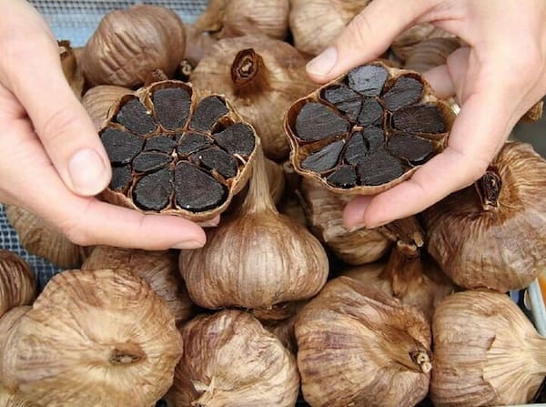 تصویر 5 از خرید سیر سیاه دکتر بیز + قیمت فروش استثنایی